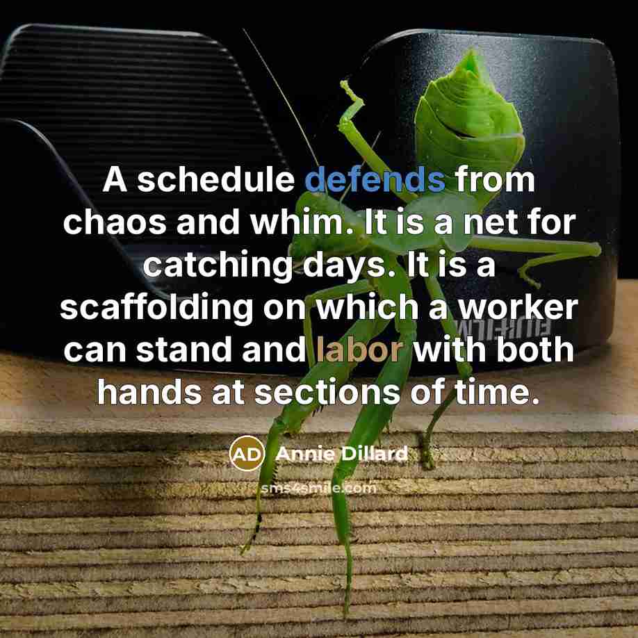 “A schedule defends from chaos and whim. It is a net for catching days. It is a scaffolding on which a worker can stand and labor with both hands at sections of time.” quote by Annie Dillard