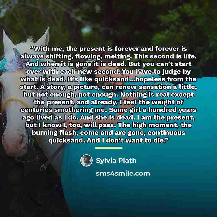 “With me, the present is forever and forever is always shifting, flowing, melting. This second is life. And when it is gone it is dead. But you can’t start over with each new second. You have to judge by what is dead. It’s like quicksand…hopeless from the start. A story, a picture, can renew…” quote by Sylvia Plath