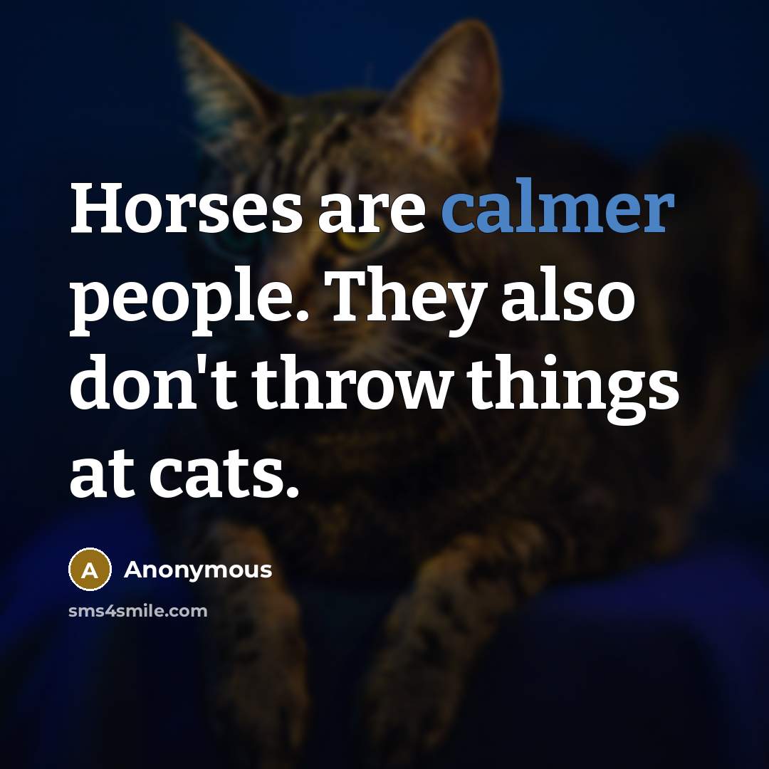 “Horses are calmer people. They also don't throw things at cats.” quote by Anonymous
