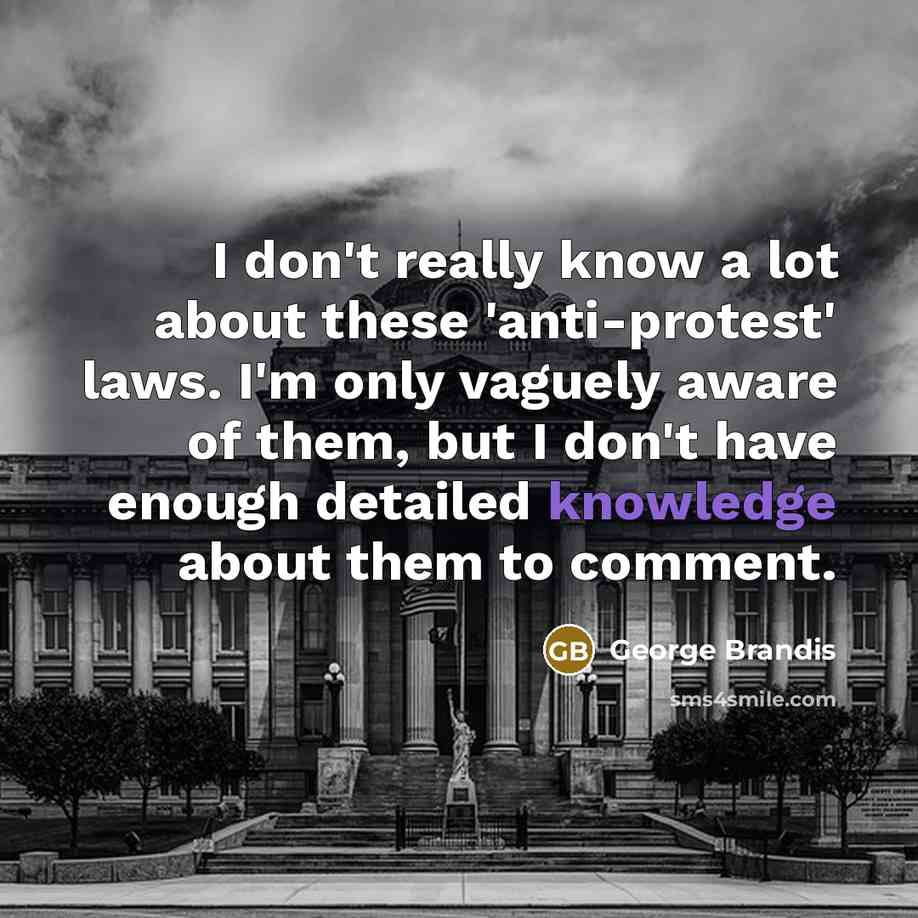 “I don't really know a lot about these 'anti-protest' laws. I'm only vaguely aware of them, but I don't have enough detailed knowledge about them to comment.” quote by George Brandis