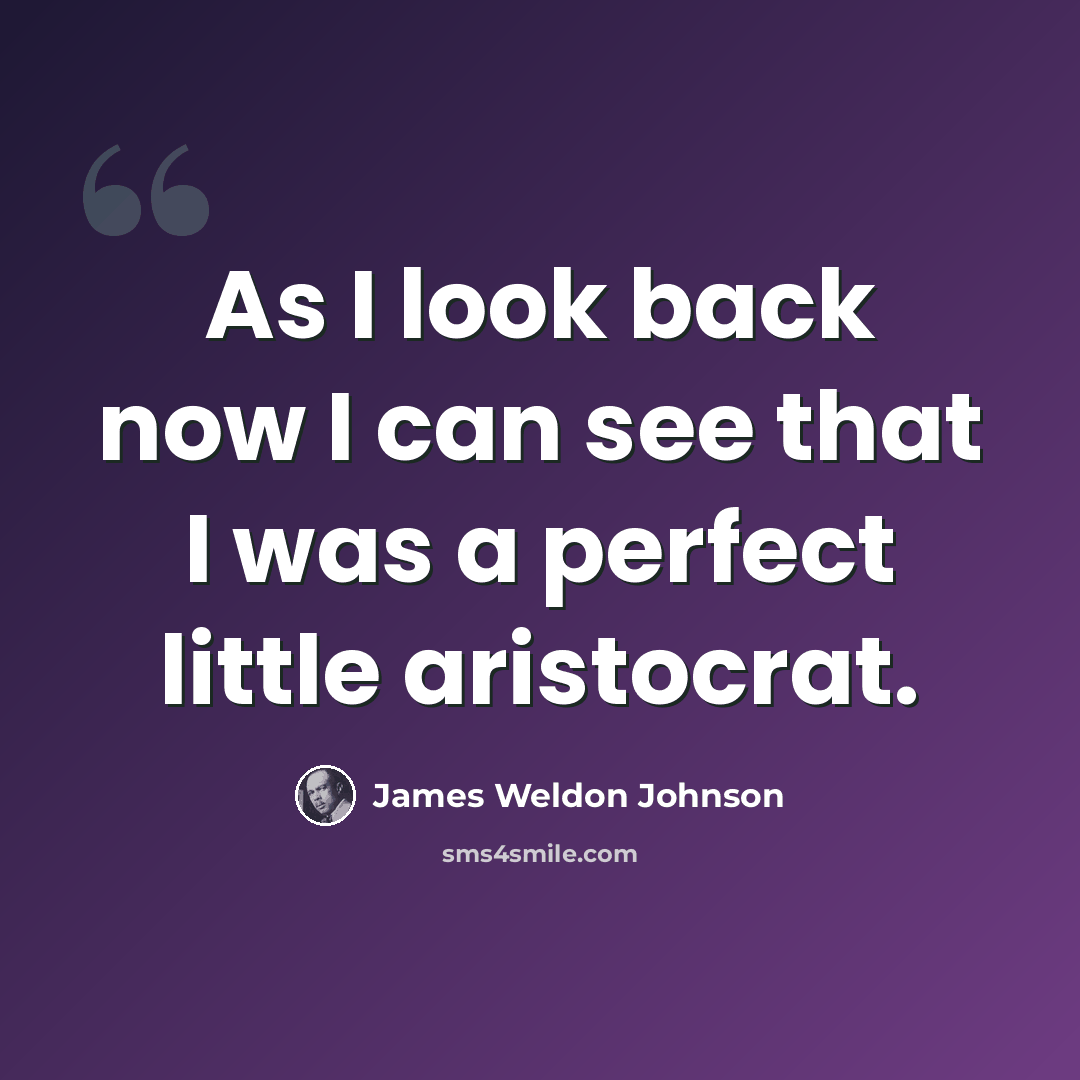 “As I look back now I can see that I was a perfect little aristocrat.” quote by James Weldon Johnson