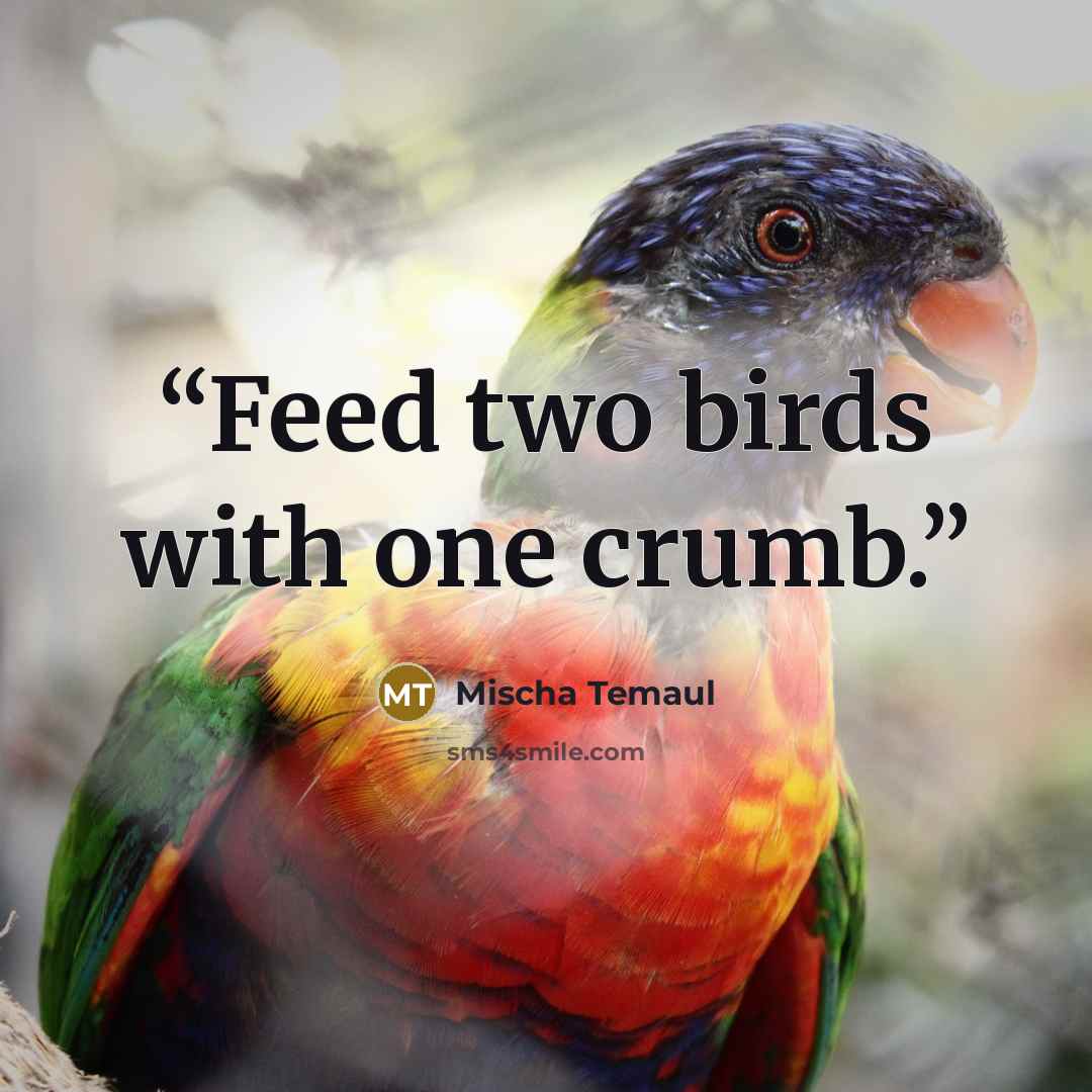 “Feed two birds with one crumb.” quote by Mischa Temaul