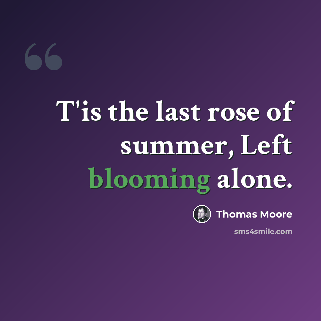 “T'is the last rose of summer, Left blooming alone.” quote by Thomas Moore