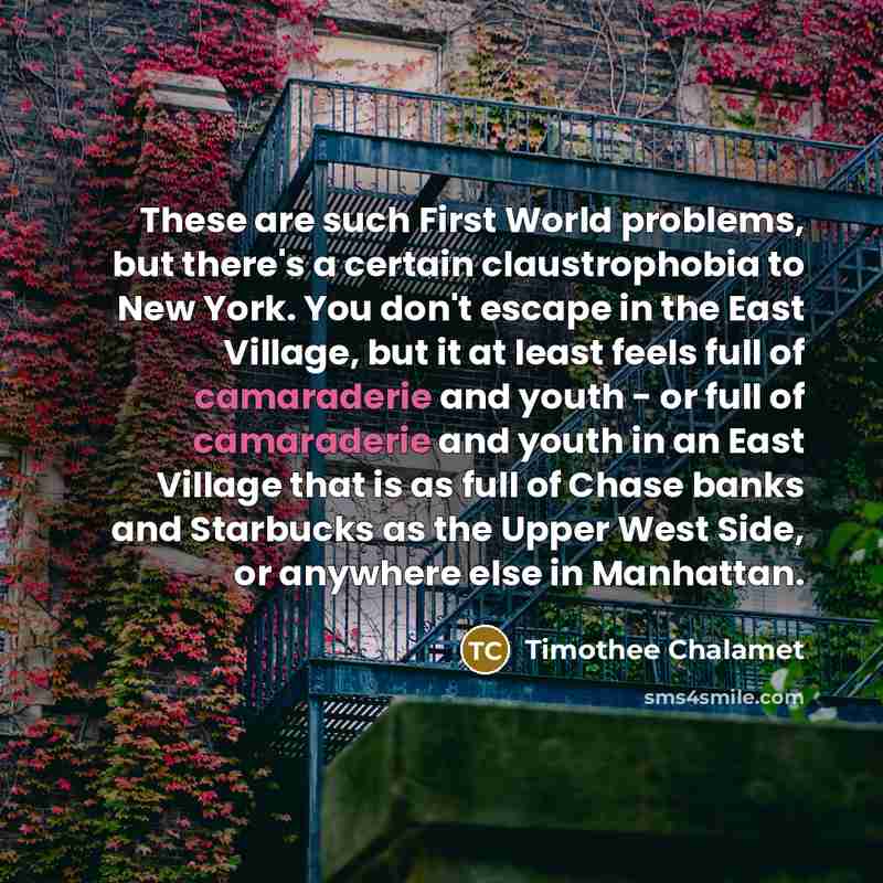 “These are such First World problems, but there's a certain claustrophobia to New York. You don't escape in the East Village, but it at least feels full of camaraderie and youth - or full of camaraderie and youth in an East Village that is as full of Chase banks and Starbucks as the Upper West…” quote by Timothee Chalamet