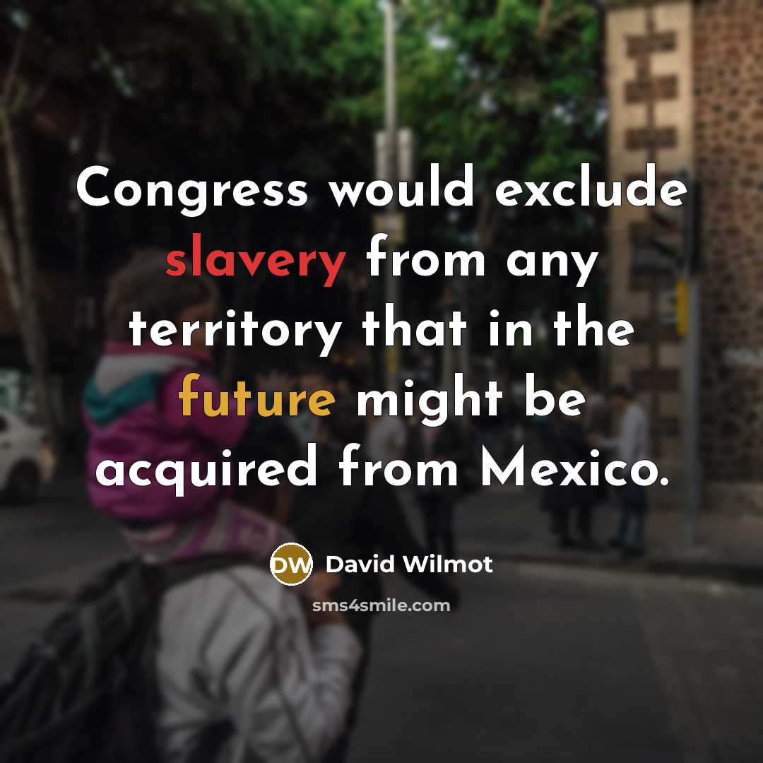 “Congress would exclude slavery from any territory that in the future might be acquired from Mexico.” quote by David Wilmot