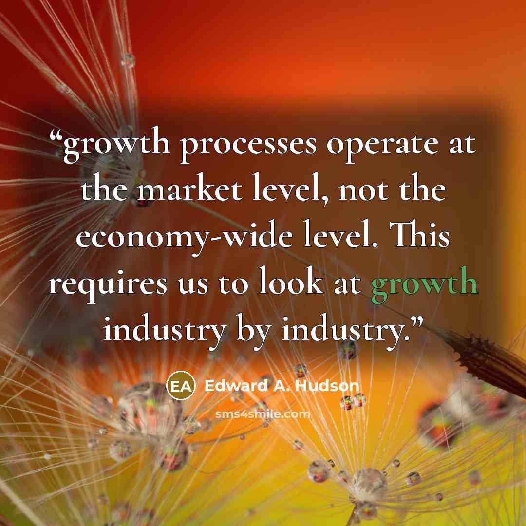 “growth processes operate at the market level, not the economy-wide level. This requires us to look at growth industry by industry.” quote by Edward A. Hudson