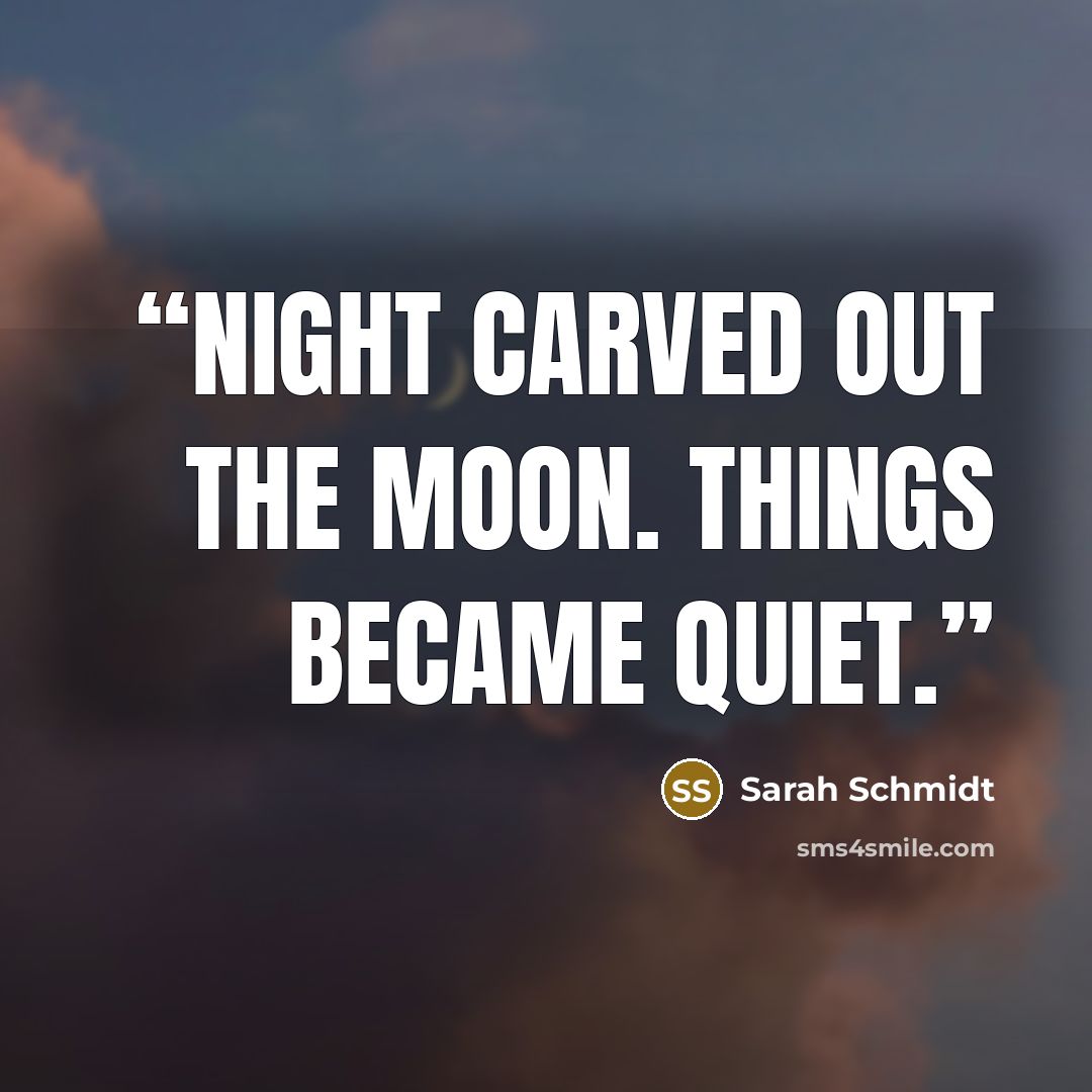 “Night carved out the moon. Things became quiet.” quote by Sarah Schmidt