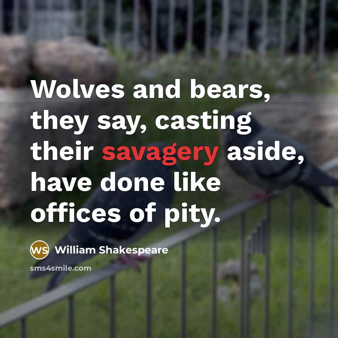 “Wolves and bears, they say, casting their savagery aside, have done like offices of pity.” quote by William Shakespeare