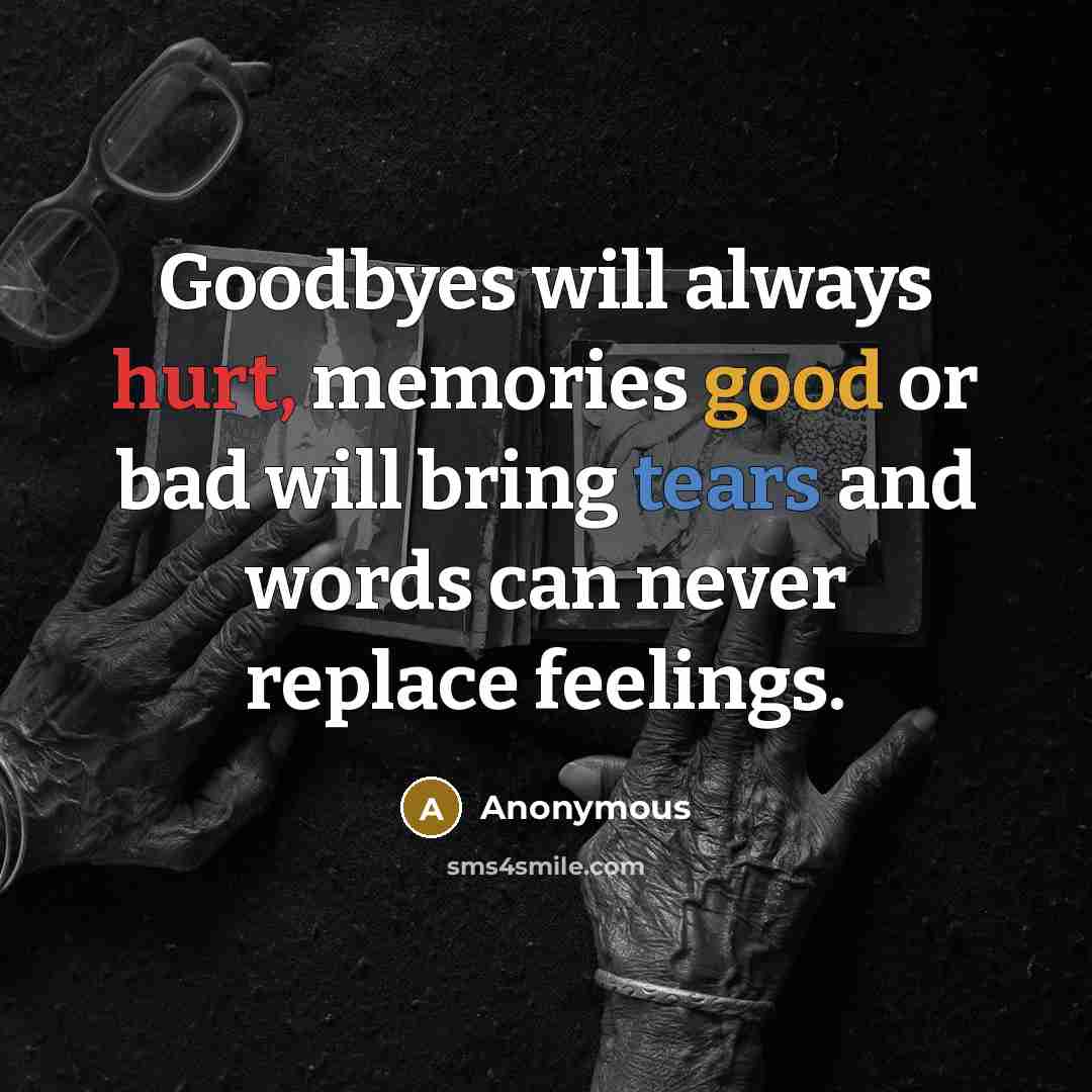 “Goodbyes will always hurt, memories good or bad will bring tears and words can never replace feelings.” quote by Anonymous
