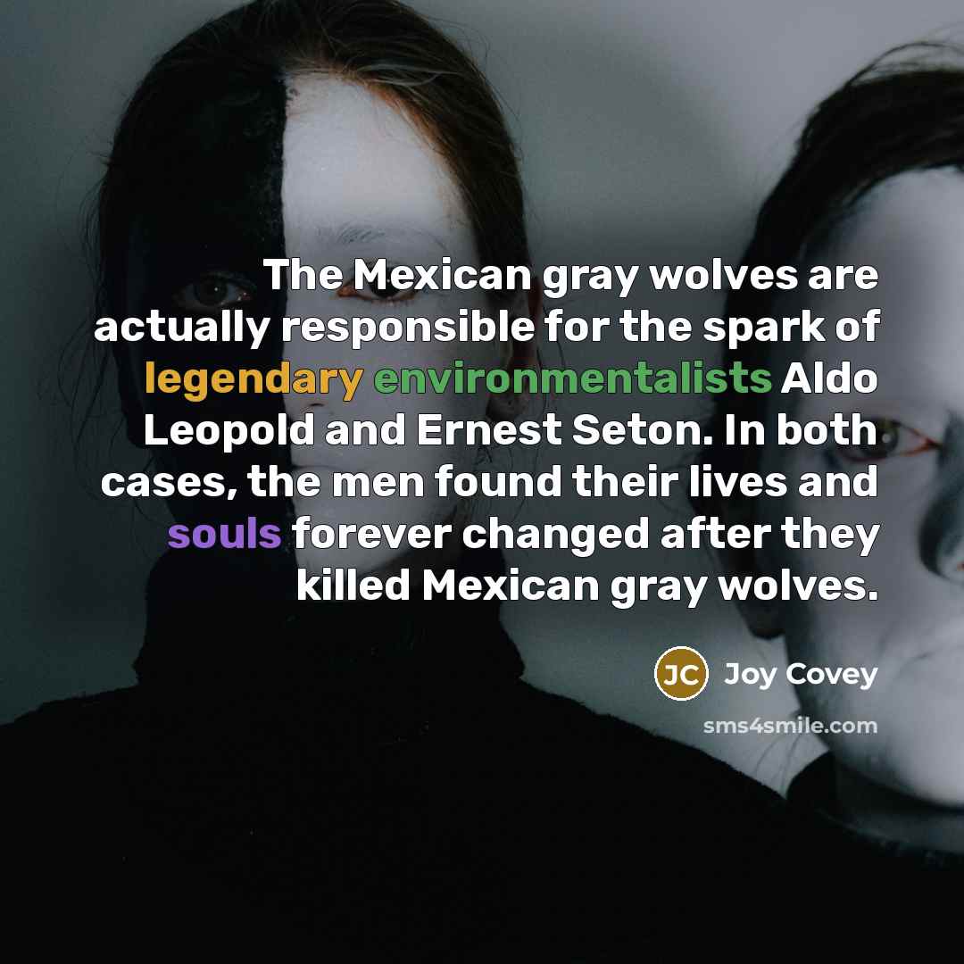 “The Mexican gray wolves are actually responsible for the spark of legendary environmentalists Aldo Leopold and Ernest Seton. In both cases, the men found their lives and souls forever changed after they killed Mexican gray wolves.” quote by Joy Covey