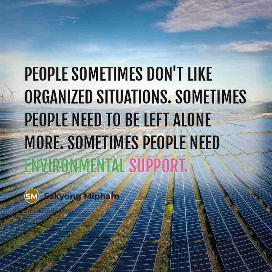 “People sometimes don't like organized situations. Sometimes people need to be left alone more. Sometimes people need environmental support.” quote by Sakyong Mipham