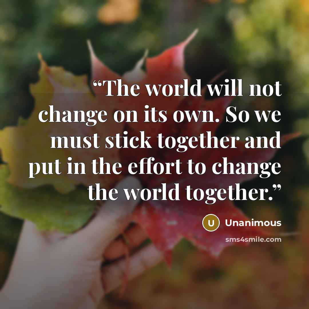 “The world will not change on its own. So we must stick together and put in the effort to change the world together.” quote by Unanimous