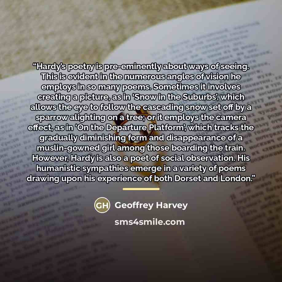 “Hardy’s poetry is pre-eminently about ways of seeing. This is evident in the numerous angles of vision he employs in so many poems. Sometimes it involves creating a picture, as in ‘Snow in the Suburbs’, which allows the eye to follow the cascading snow set off by a sparrow alighting on a tree; or…” quote by Geoffrey Harvey