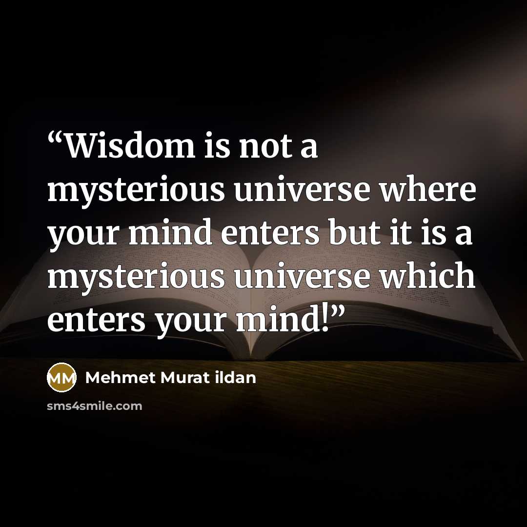 “Wisdom is not a mysterious universe where your mind enters but it is a mysterious universe which enters your mind!” quote by Mehmet Murat ildan