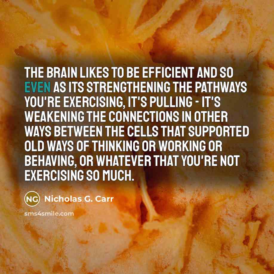 “The brain likes to be efficient and so even as its strengthening the pathways you're exercising, it's pulling - it's weakening the connections in other ways between the cells that supported old ways of thinking or working or behaving, or whatever that you're not exercising so much.” quote by Nicholas G. Carr