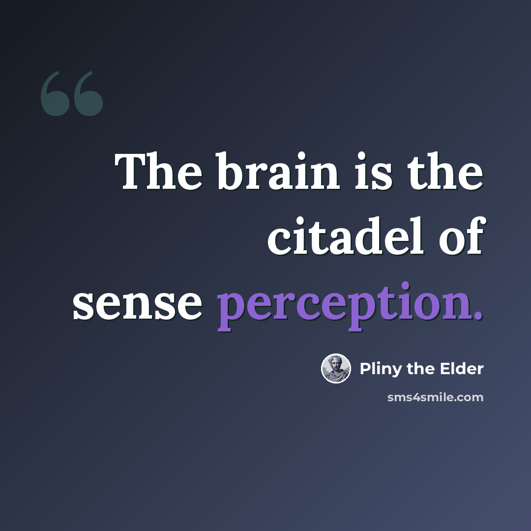“The brain is the citadel of sense perception.” quote by Pliny the Elder