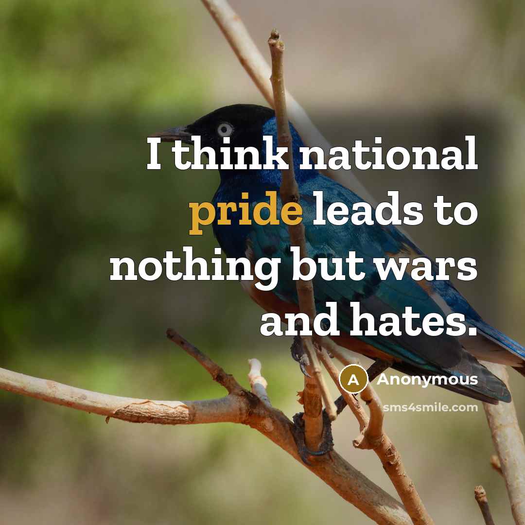 “I think national pride leads to nothing but wars and hates.” quote by Anonymous