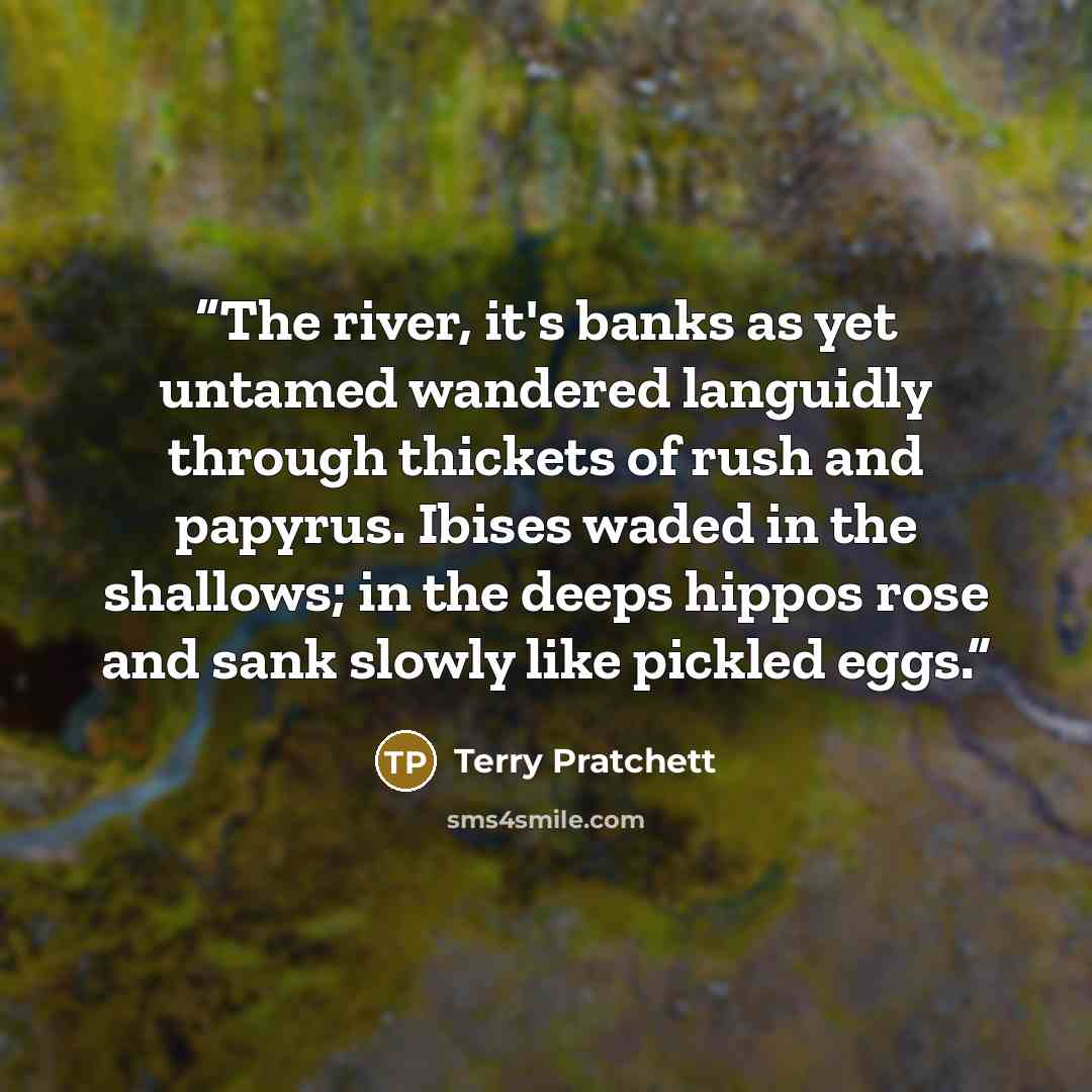 “The river, it's banks as yet untamed wandered languidly through thickets of rush and papyrus. Ibises waded in the shallows; in the deeps hippos rose and sank slowly like pickled eggs.” quote by Terry Pratchett
