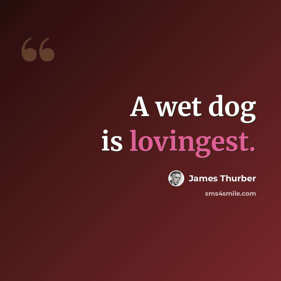 “A wet dog is lovingest.” quote by James Thurber