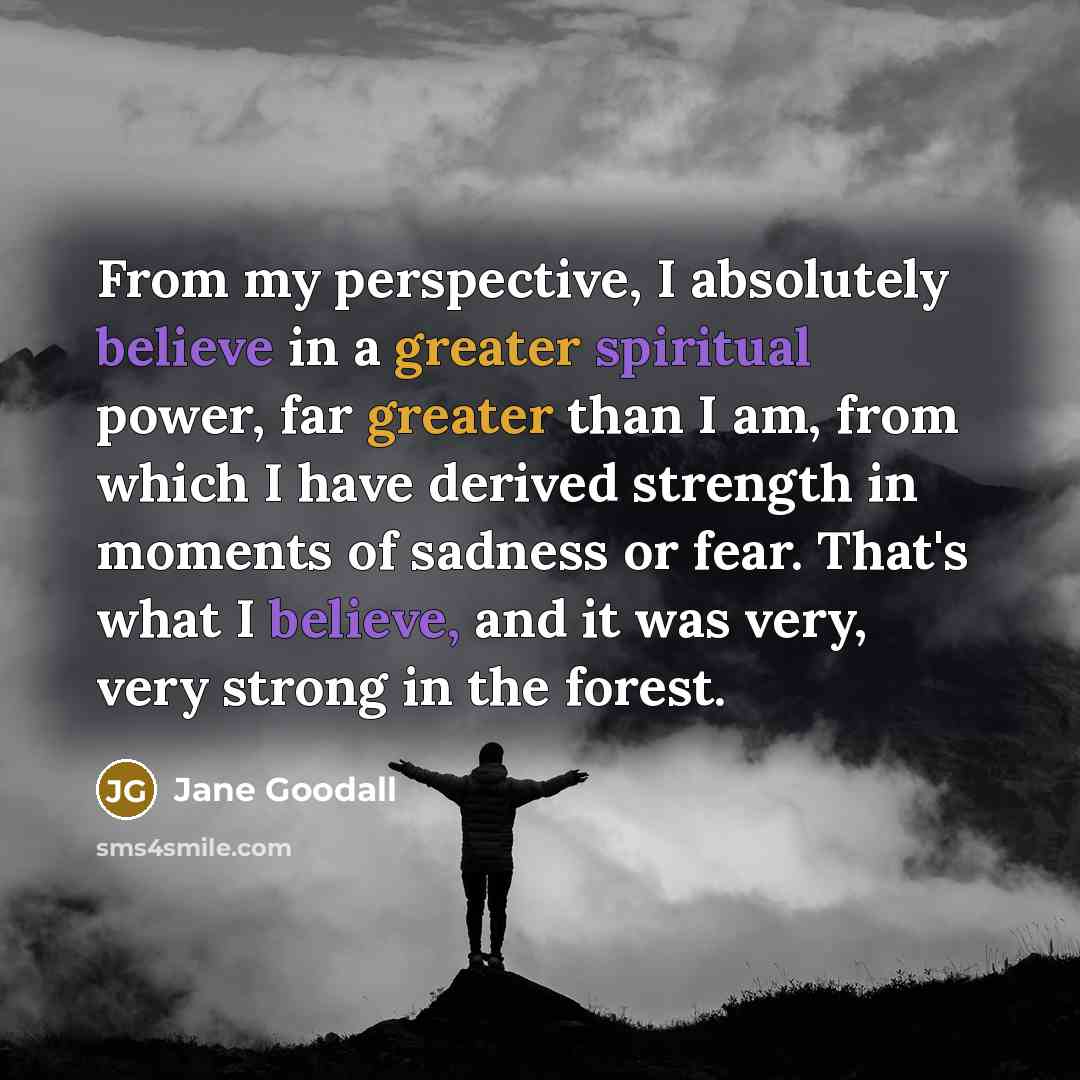 “From my perspective, I absolutely believe in a greater spiritual power, far greater than I am, from which I have derived strength in moments of sadness or fear. That's what I believe, and it was very, very strong in the forest.” quote by Jane Goodall