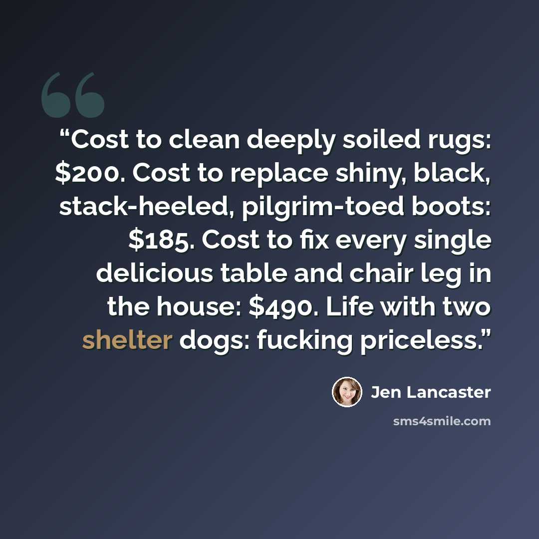 “Cost to clean deeply soiled rugs: $200. Cost to replace shiny, black, stack-heeled, pilgrim-toed boots: $185. Cost to fix every single delicious table and chair leg in the house: $490. Life with two shelter dogs: fucking priceless.” quote by Jen Lancaster