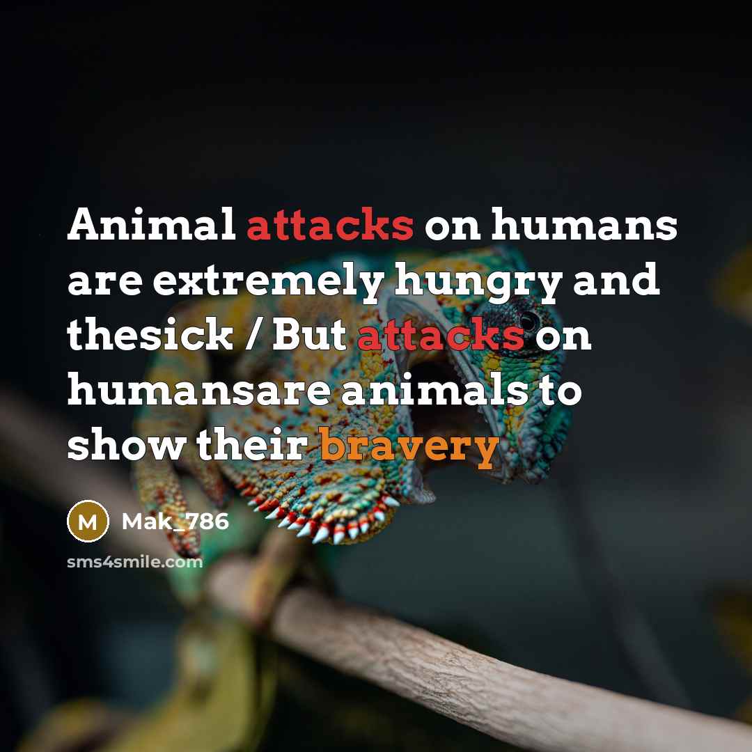 “Animal attacks on humans are extremely hungry and thesick / But attacks on humansare animals to show their bravery” quote by Mak_786