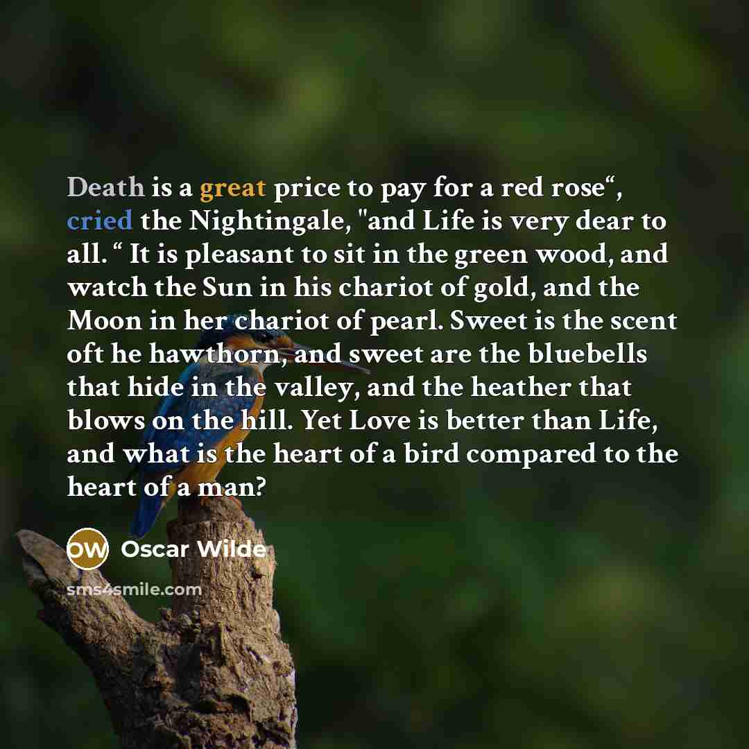 “Death is a great price to pay for a red rose“, cried the Nightingale, "and Life is very dear to all. “ It is pleasant to sit in the green wood, and watch the Sun in his chariot of gold, and the Moon in her chariot of pearl. Sweet is the scent oft he hawthorn, and sweet are the bluebells that hide…” quote by Oscar Wilde