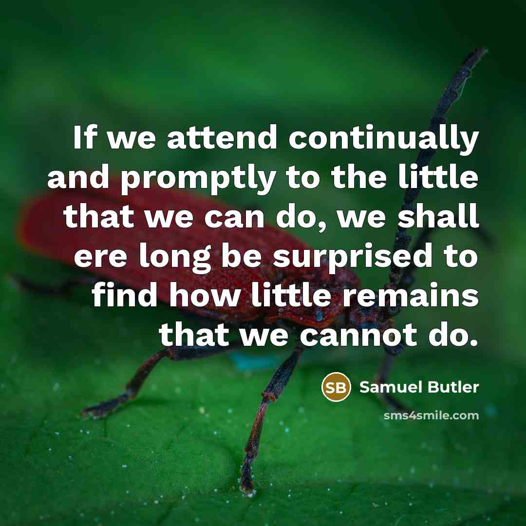“If we attend continually and promptly to the little that we can do, we shall ere long be surprised to find how little remains that we cannot do.” quote by Samuel Butler