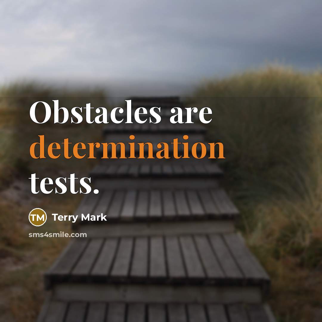 “Obstacles are determination tests.” quote by Terry Mark