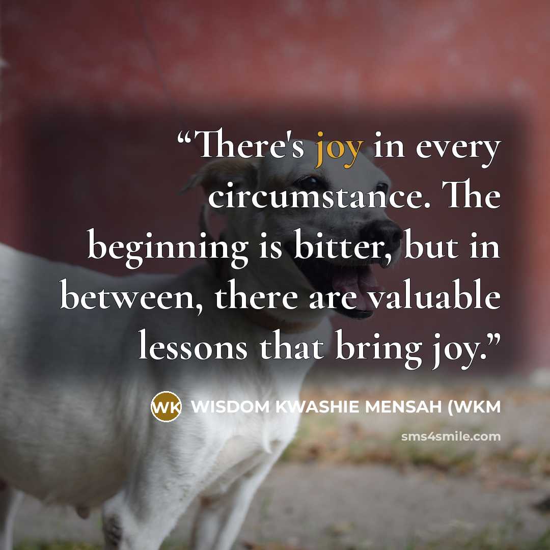 “There's joy in every circumstance. The beginning is bitter, but in between, there are valuable lessons that bring joy.” quote by WISDOM KWASHIE MENSAH (WKM