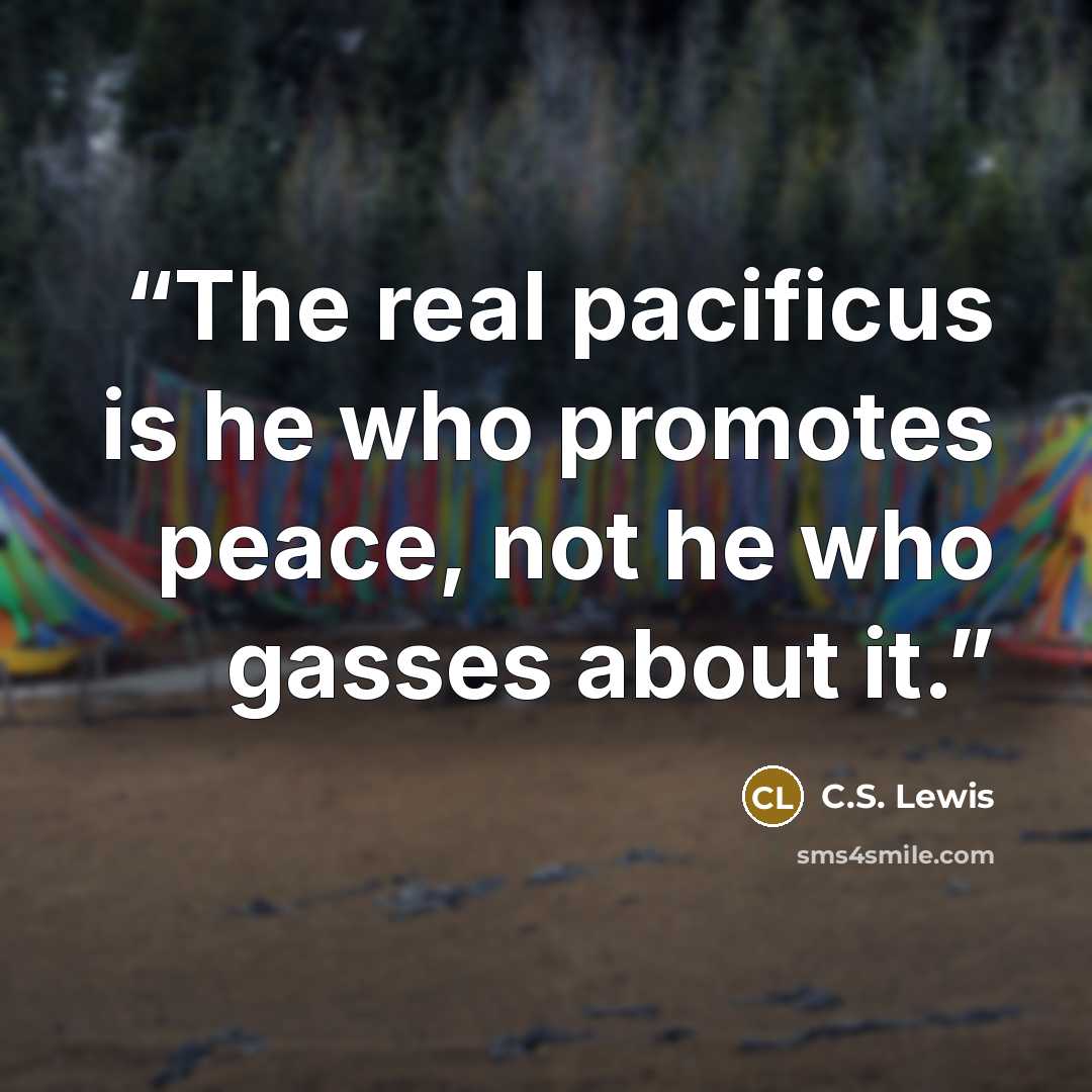 “The real pacificus is he who promotes peace, not he who gasses about it.” quote by C.S. Lewis