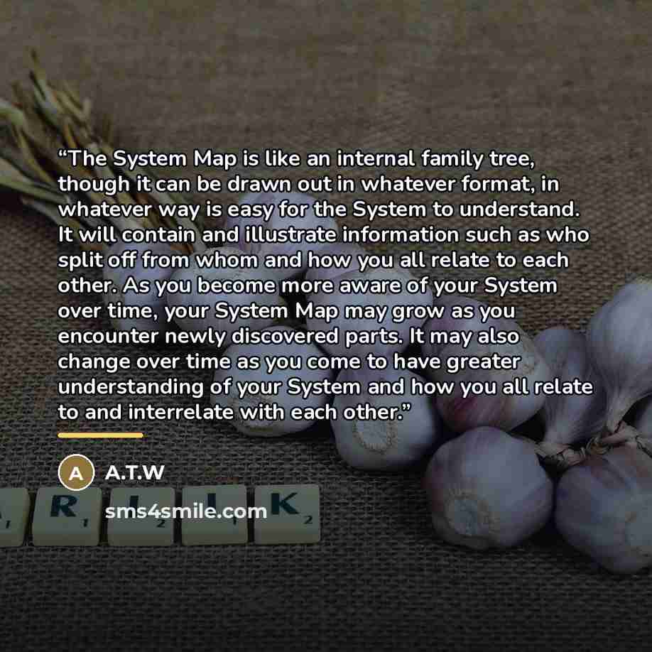 “The System Map is like an internal family tree, though it can be drawn out in whatever format, in whatever way is easy for the System to understand. It will contain and illustrate information such as who split off from whom and how you all relate to each other. As you become more aware of your…” quote by A.T.W