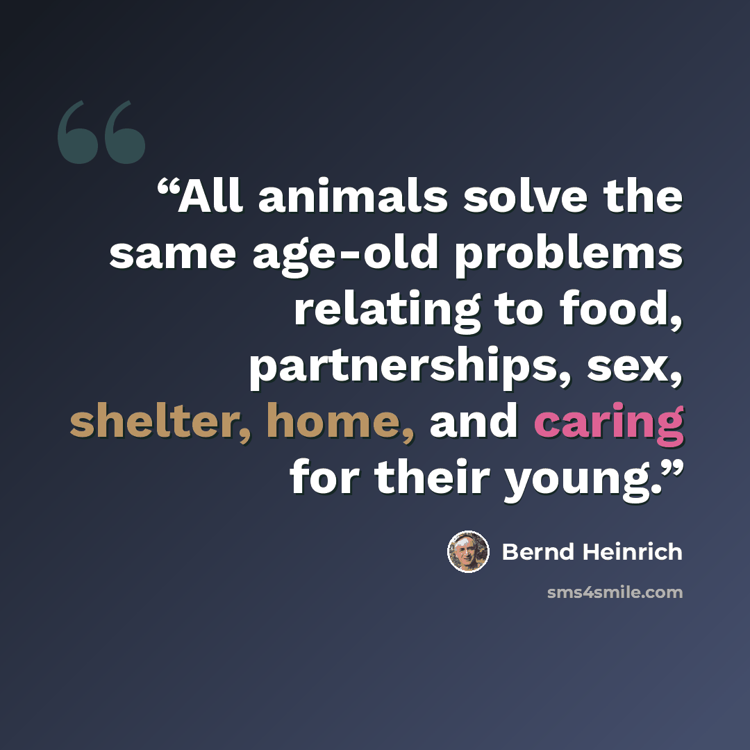 “All animals solve the same age-old problems relating to food, partnerships, sex, shelter, home, and caring for their young.” quote by Bernd Heinrich