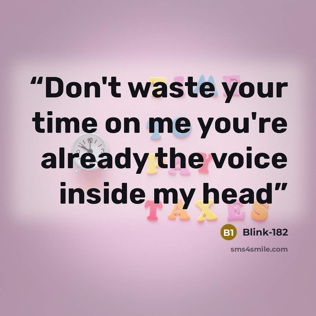 “Don't waste your time on me you're already the voice inside my head” quote by Blink-182