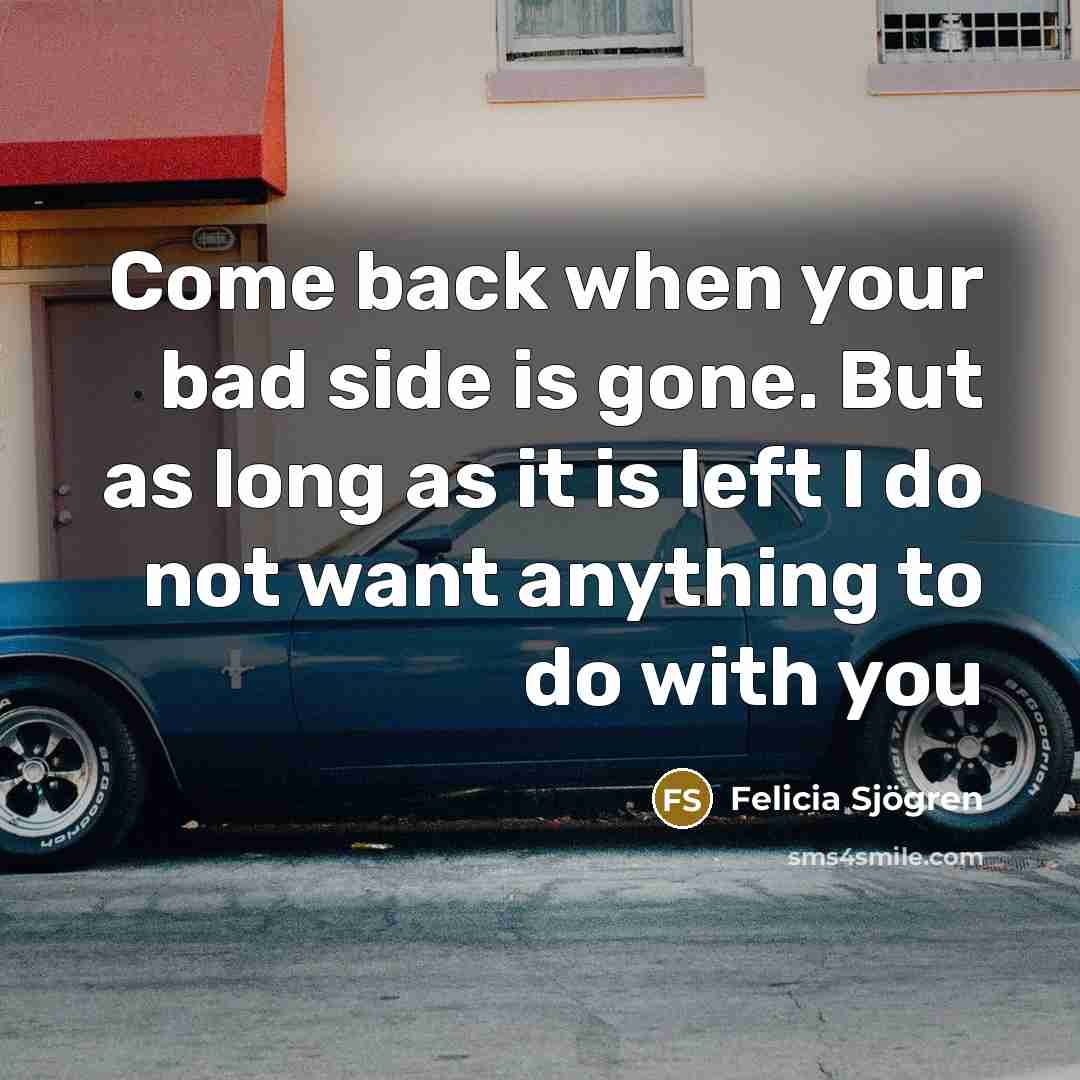 “Come back when your bad side is gone. But as long as it is left I do not want anything to do with you” quote by Felicia Sjögren