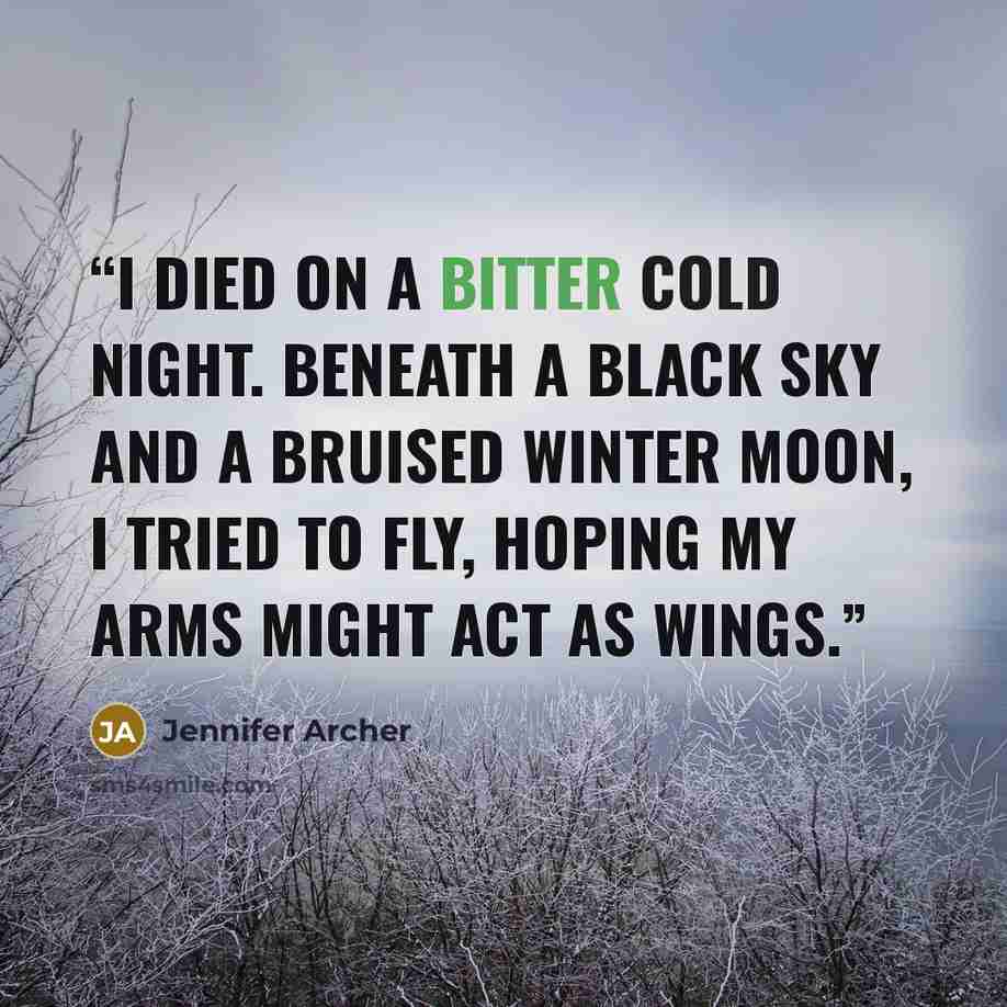 “I died on a bitter cold night. Beneath a black sky and a bruised winter moon, I tried to fly, hoping my arms might act as wings.” quote by Jennifer Archer