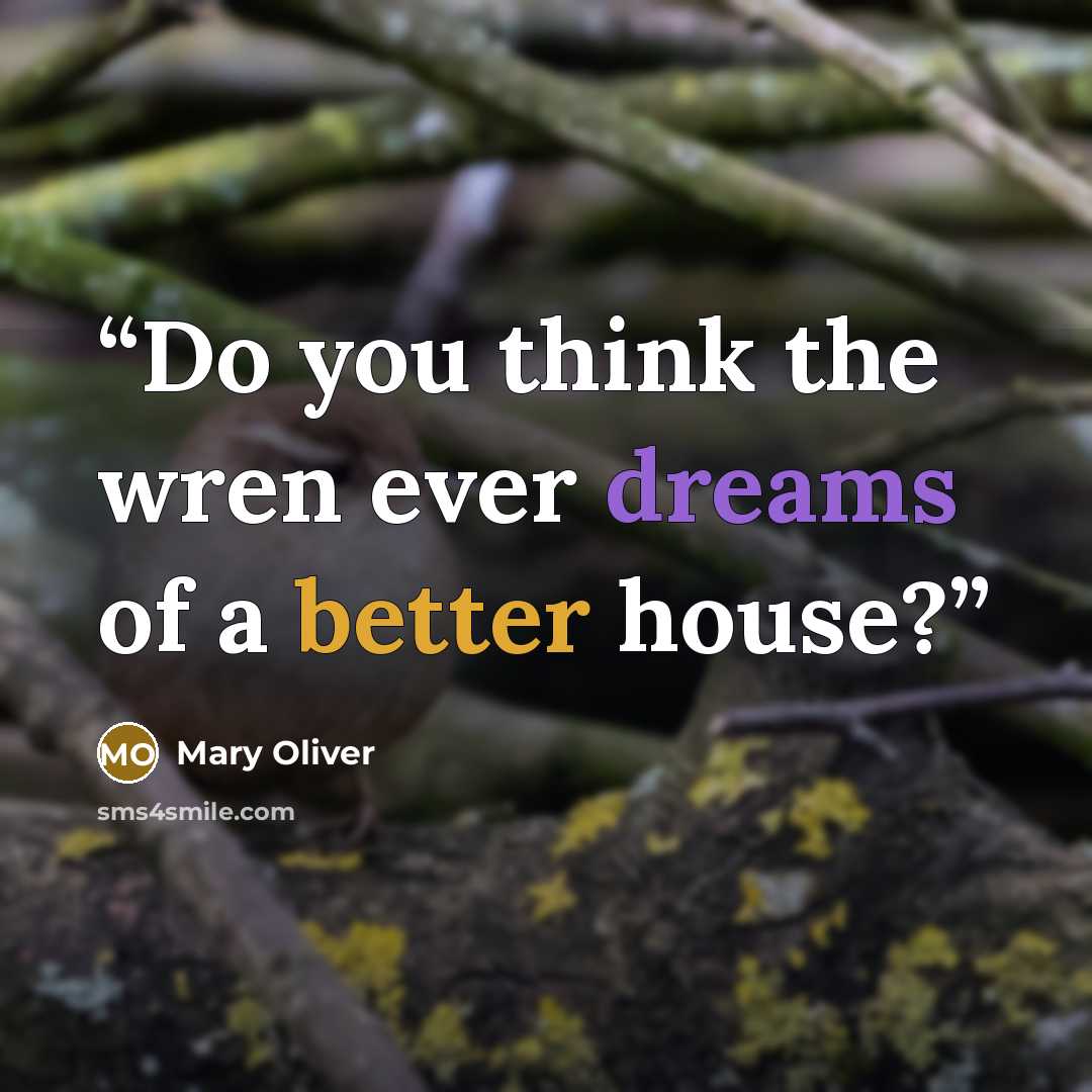 “Do you think the wren ever dreams of a better house?” quote by Mary Oliver