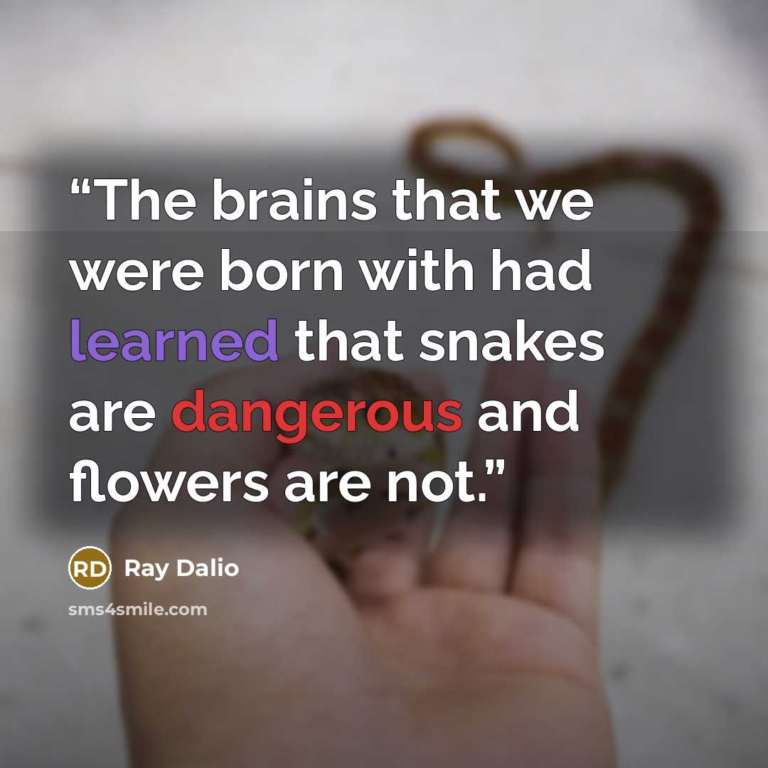 “The brains that we were born with had learned that snakes are dangerous and flowers are not.” quote by Ray Dalio