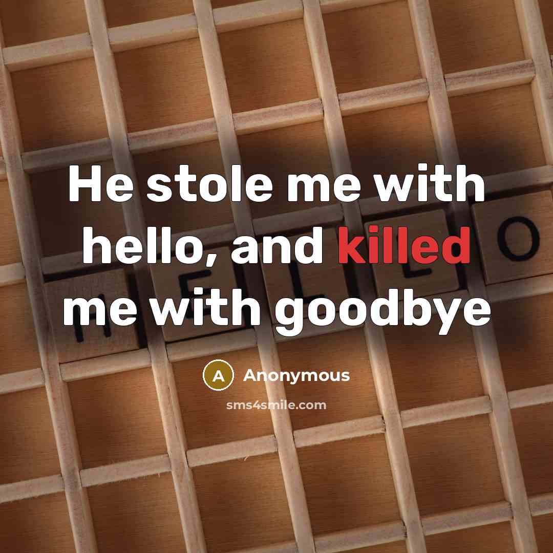 “He stole me with hello, and killed me with goodbye” quote by Anonymous