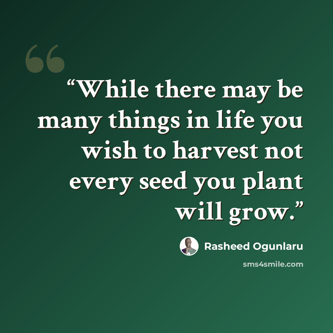 “While there may be many things in life you wish to harvest not every seed you plant will grow.” quote by Rasheed Ogunlaru