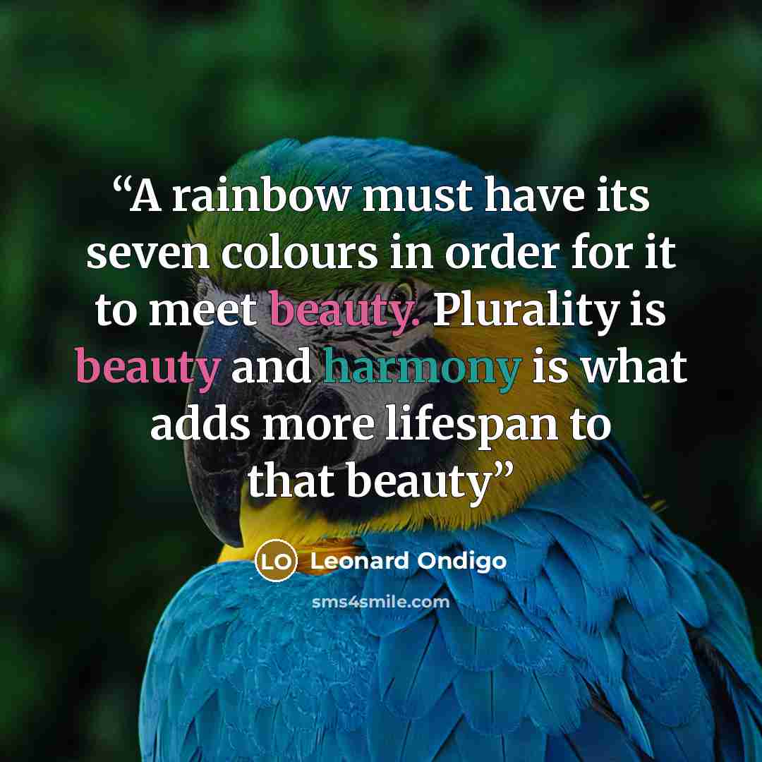 “A rainbow must have its seven colours in order for it to meet beauty. Plurality is beauty and harmony is what adds more lifespan to that beauty” quote by Leonard Ondigo