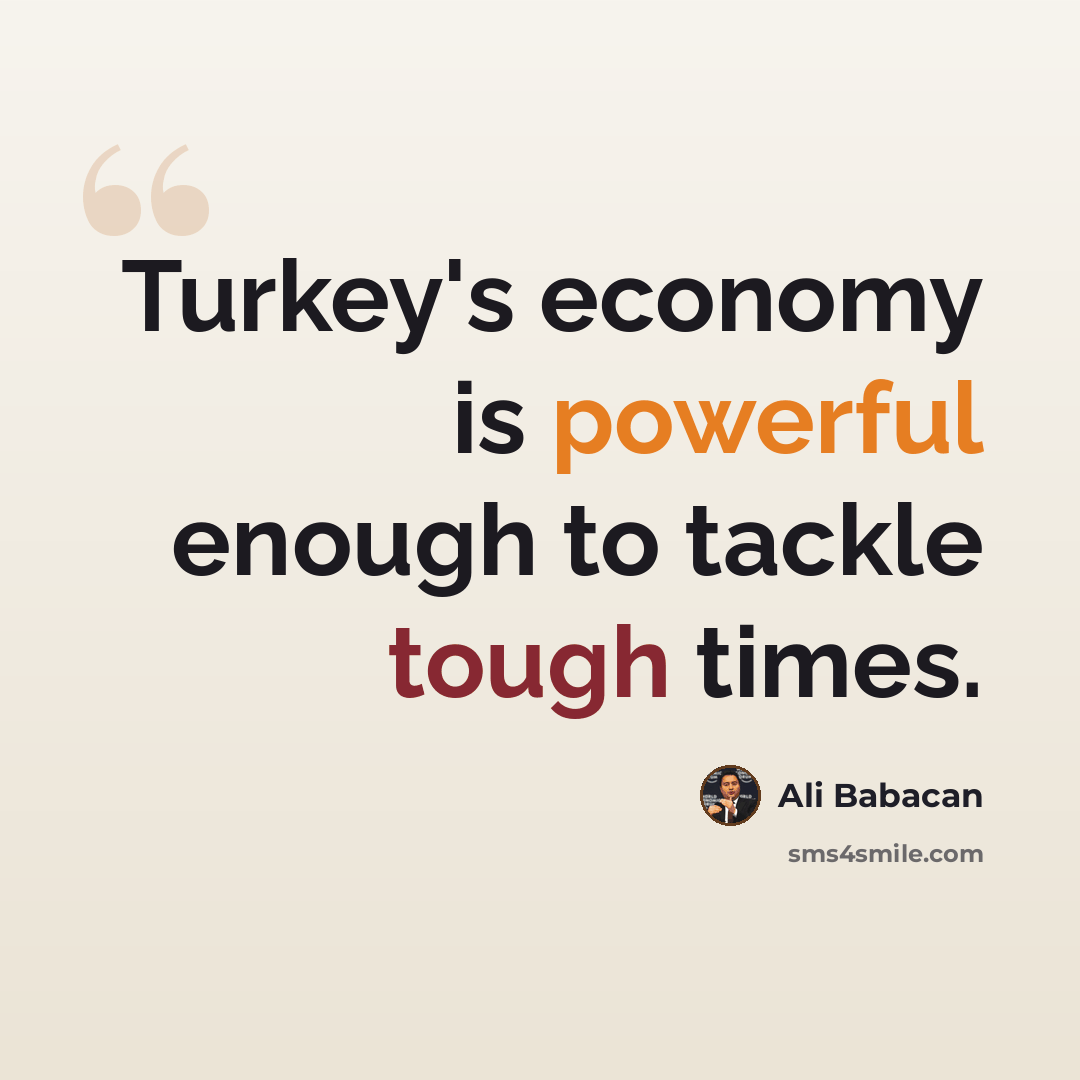 “Turkey's economy is powerful enough to tackle tough times.” quote by Ali Babacan