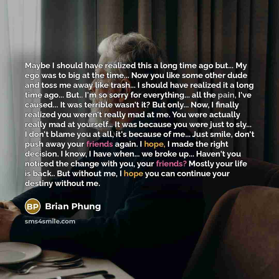 “Maybe I should have realized this a long time ago but... My ego was to big at the time... Now you like some other dude and toss me away like trash... I should have realized it a long time ago... But.. I'm so sorry for everything... all the pain, I've caused... It was terrible wasn't it? But…” quote by Brian Phung