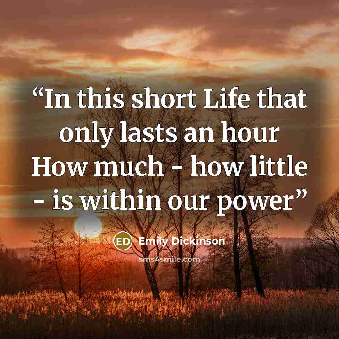 “In this short Life that only lasts an hour How much - how little - is within our power” quote by Emily Dickinson