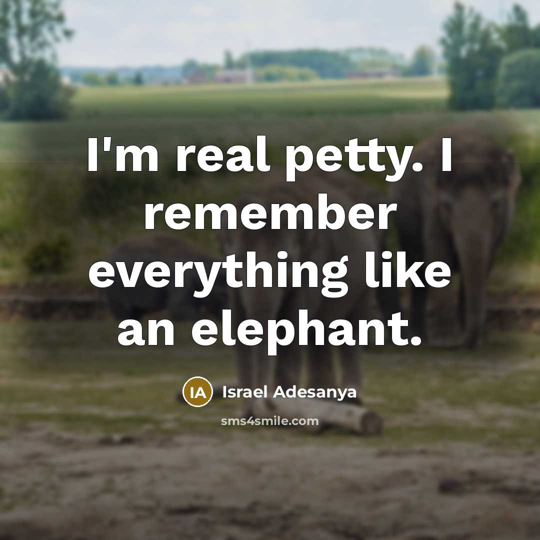 “I'm real petty. I remember everything like an elephant.” quote by Israel Adesanya