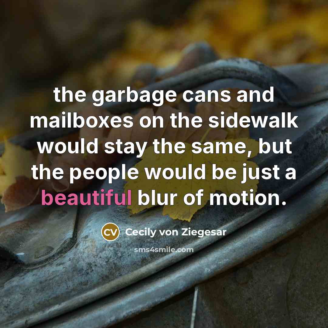 “the garbage cans and mailboxes on the sidewalk would stay the same, but the people would be just a beautiful blur of motion.” quote by Cecily von Ziegesar
