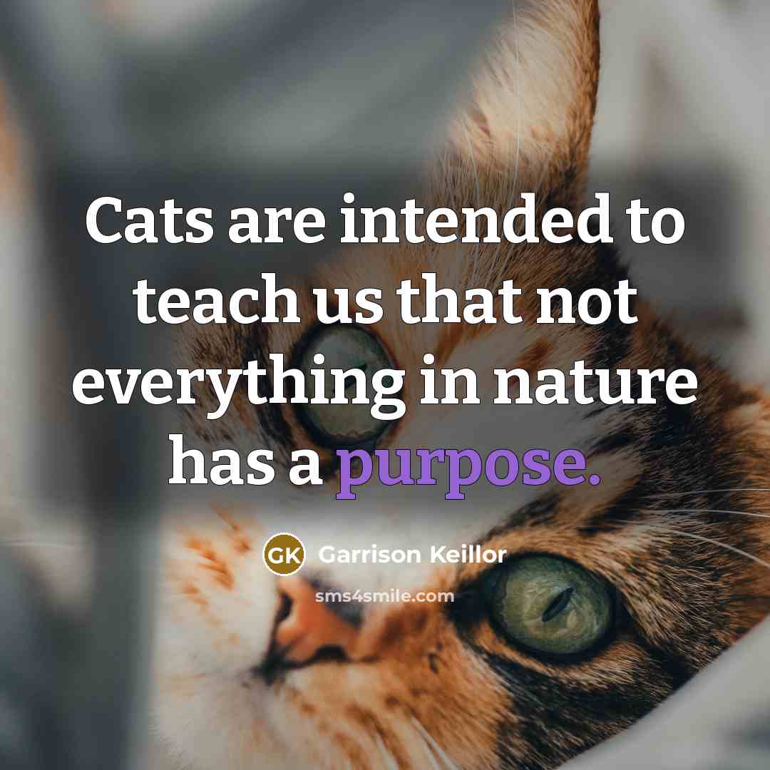 “Cats are intended to teach us that not everything in nature has a purpose.” quote by Garrison Keillor