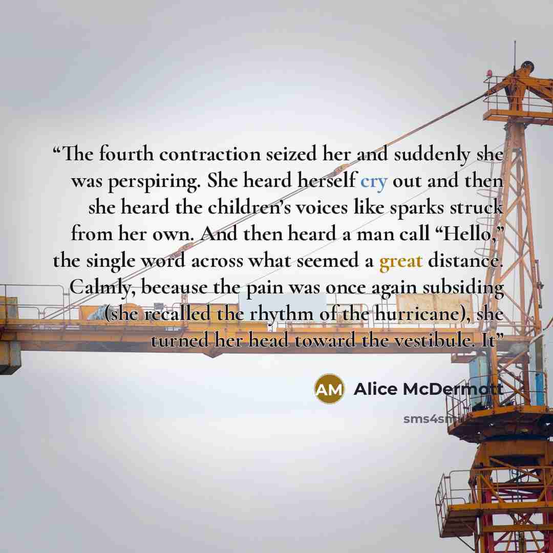 “The fourth contraction seized her and suddenly she was perspiring. She heard herself cry out and then she heard the children’s voices like sparks struck from her own. And then heard a man call “Hello,” the single word across what seemed a great distance. Calmly, because the pain was once again…” quote by Alice McDermott