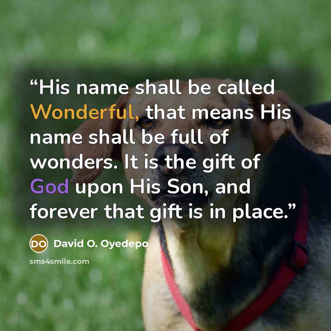 “His name shall be called Wonderful, that means His name shall be full of wonders. It is the gift of God upon His Son, and forever that gift is in place.” quote by David O. Oyedepo