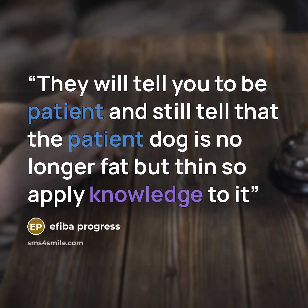 “They will tell you to be patient and still tell that the patient dog is no longer fat but thin so apply knowledge to it” quote by efiba progress